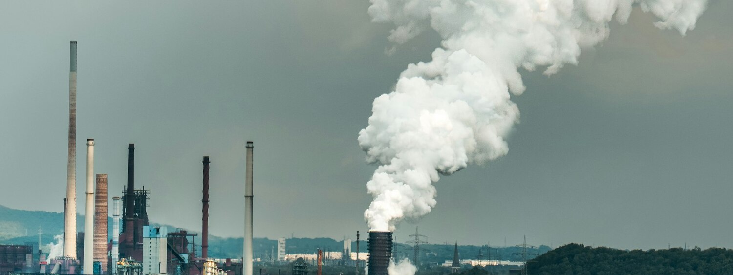 Carbon footprint in the DPP: which method to choose?