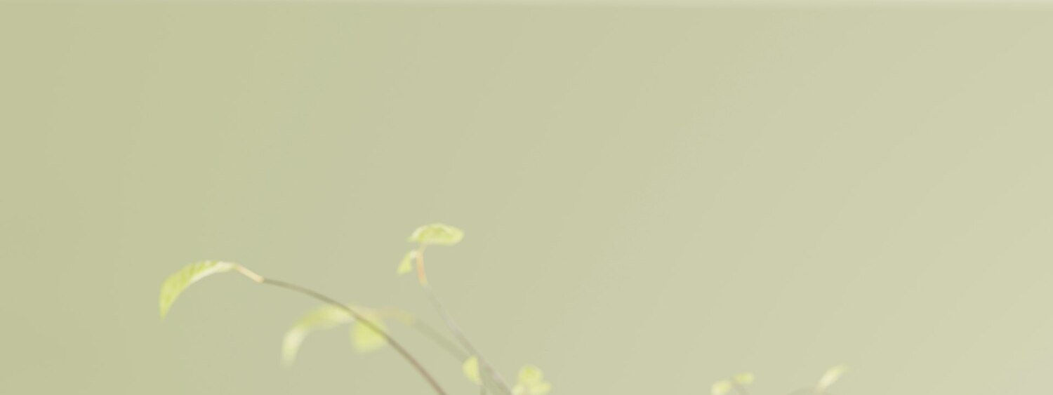 Cosmetics: 20 years of product transparency as a blueprint for DPPs